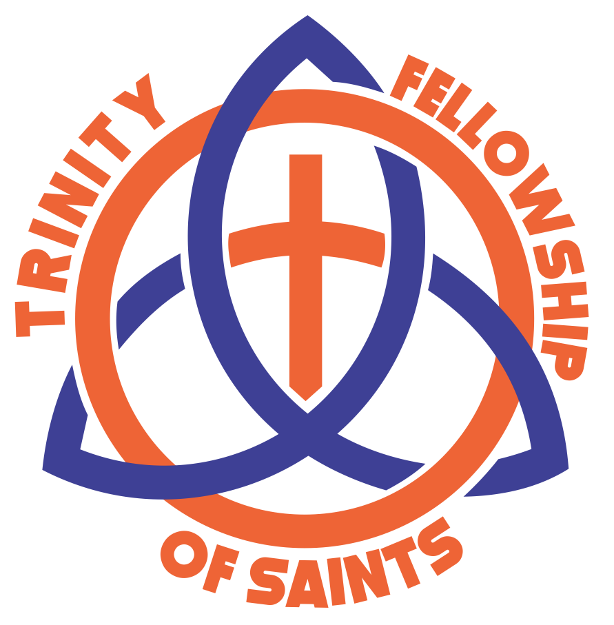 TFS Logo